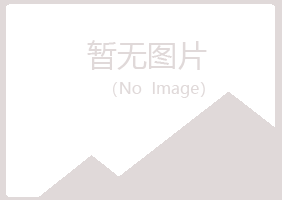 大埔县匆匆邮政有限公司